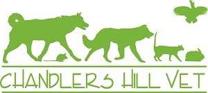 Chandlers Hill Vet